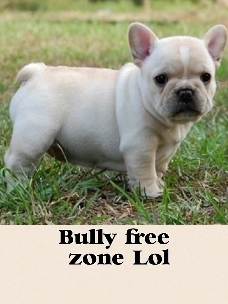 Bully free zone! Lol