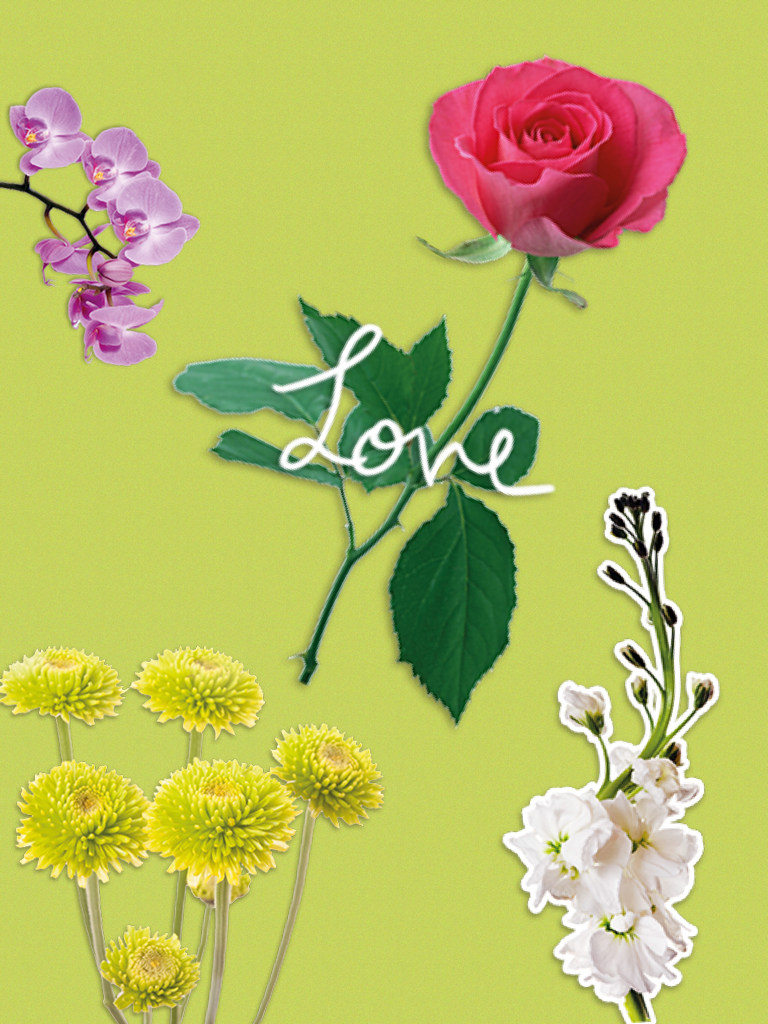 Love Though Flowers