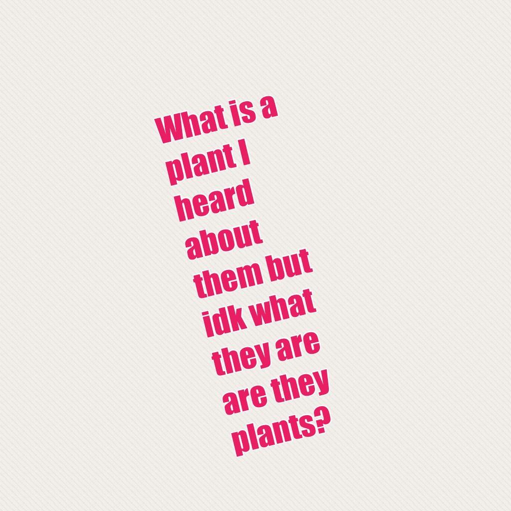 What is a plant I heard about them but idk what they are are they plants?