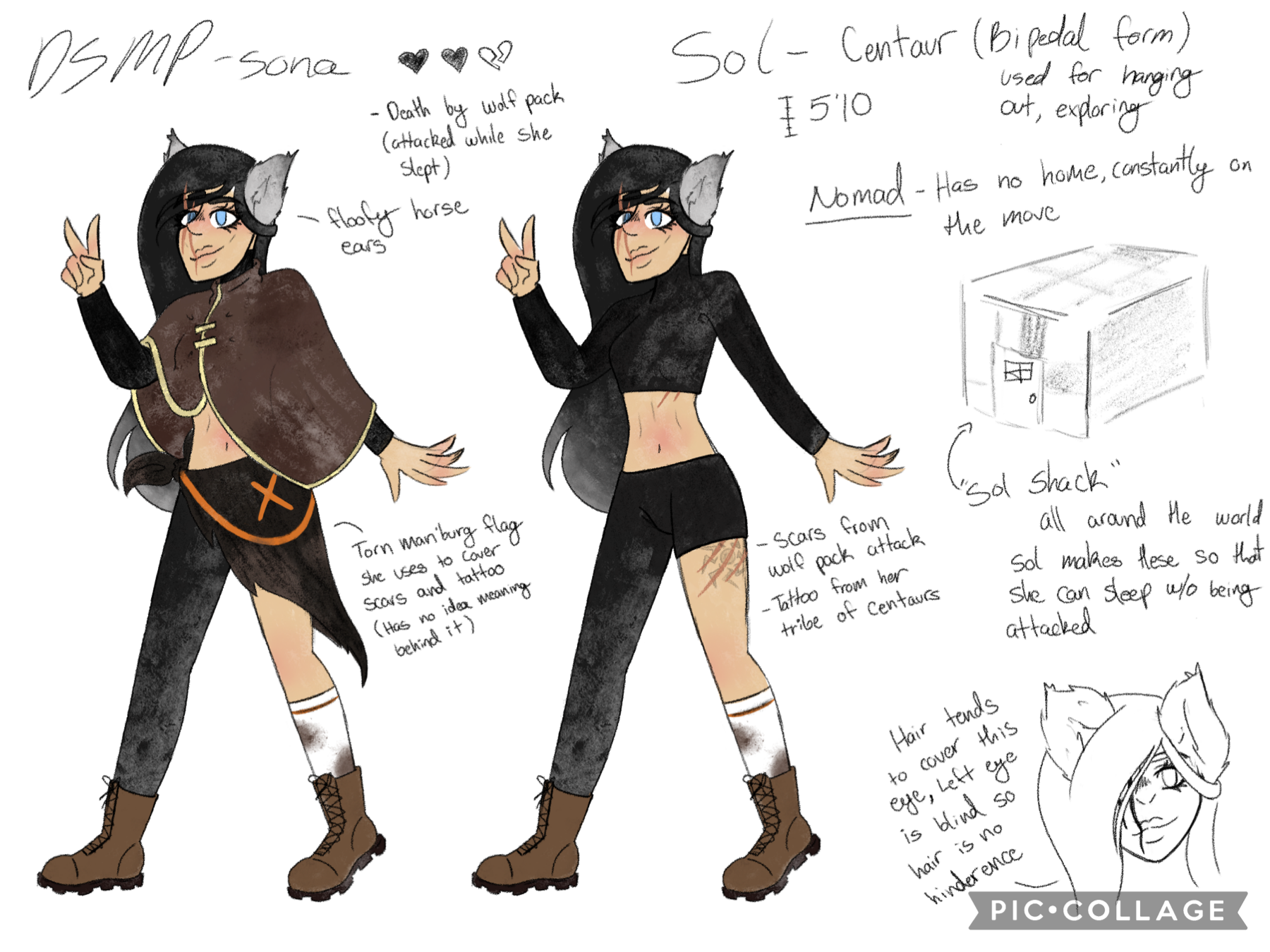 DSMP sona trend thing going around Twitter so I wanted to make one ☺️
I’m working on her centaur form now 😤❤️