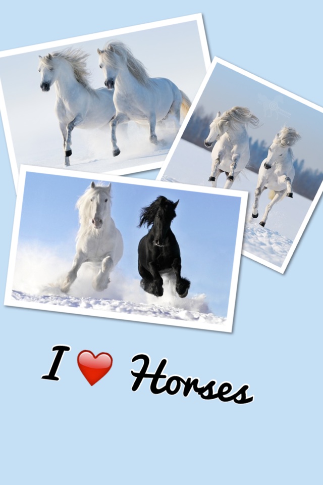 I ❤️ Horses