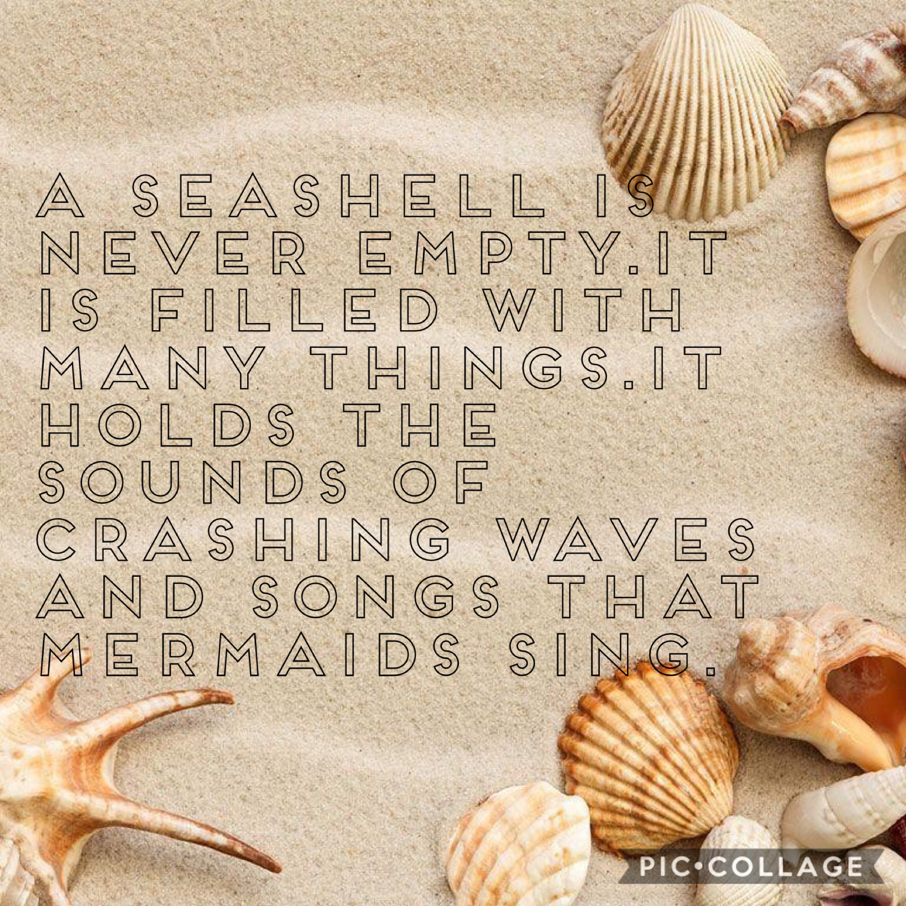 A sea shell is never empty!
