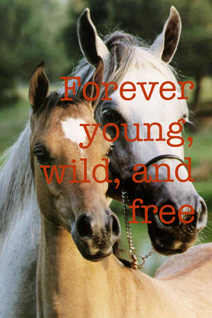 Forever young, wild, and free
~stars_and_moons