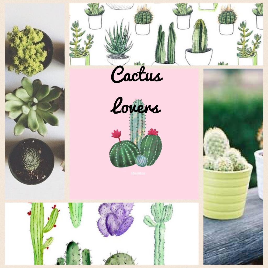 Cactus Lovers