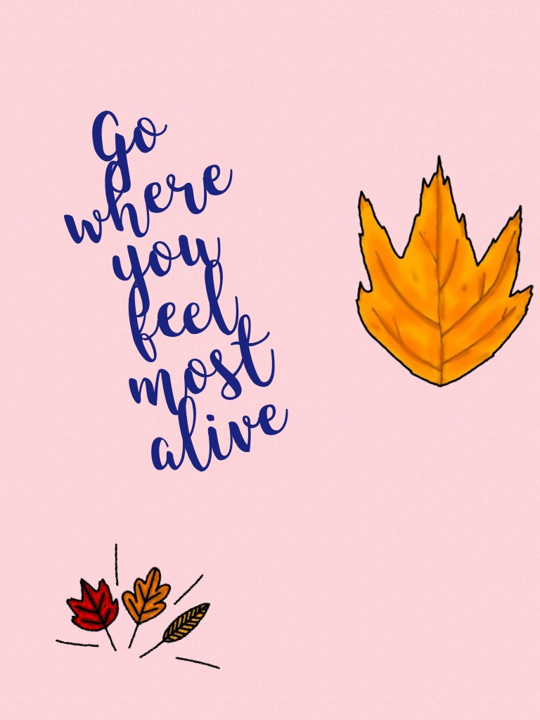 Go where you feel most alive