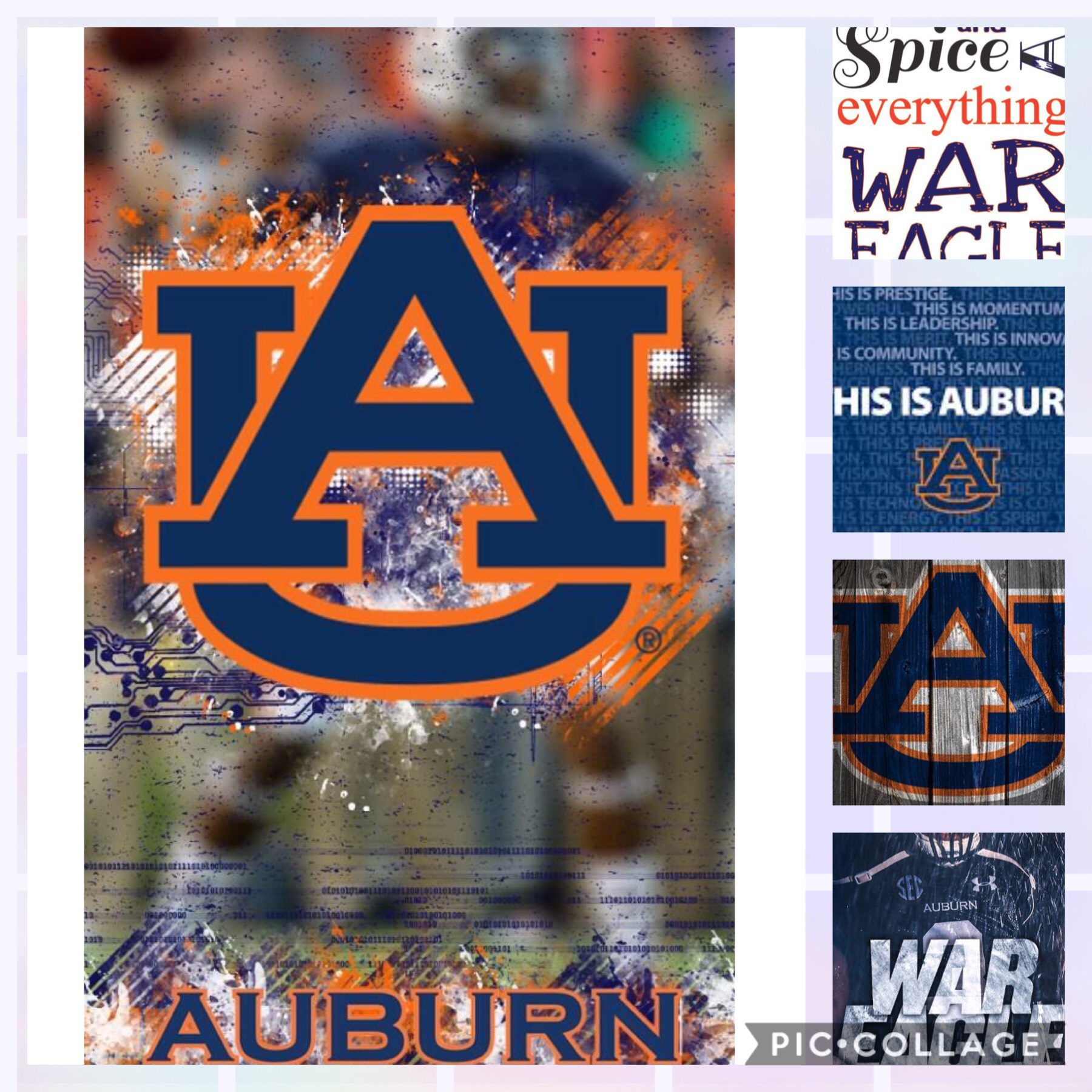 Sugar and spice and everything war eagle!!! I will try to follow all the Auburn and Georgia bulldogs fans!!!