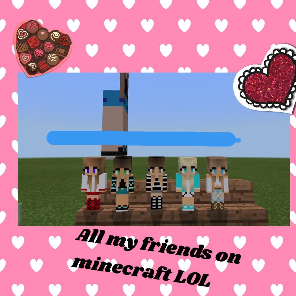 All my friends on minecraft LOL