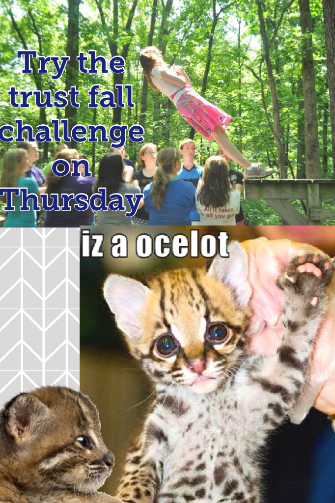 Try the trust fall challenge on Thursday 💩