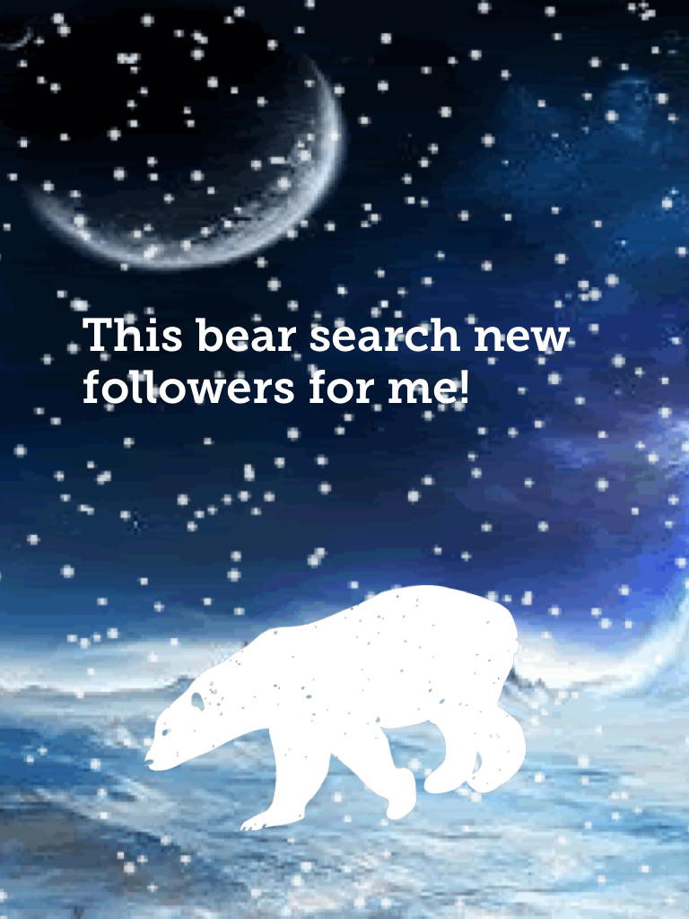 This bear search new followers for me!