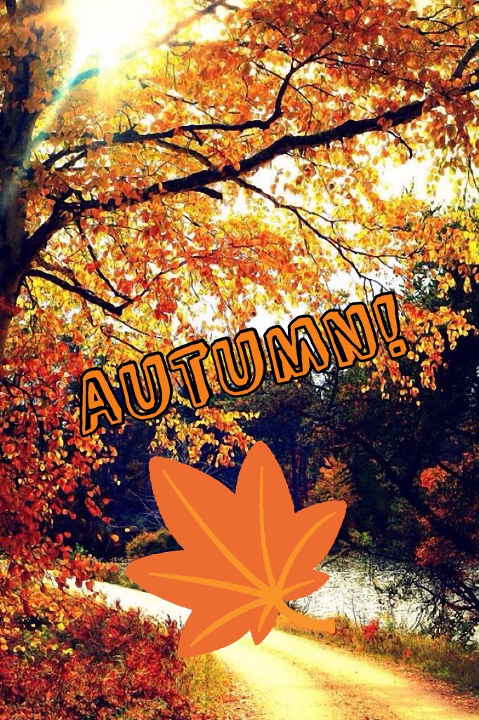 Autumn! What season is your birthday in? 🍂🍁