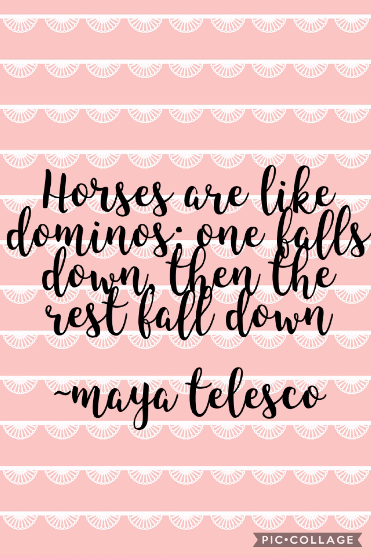 I’m maya and I made up this random quote today... don’t ask.