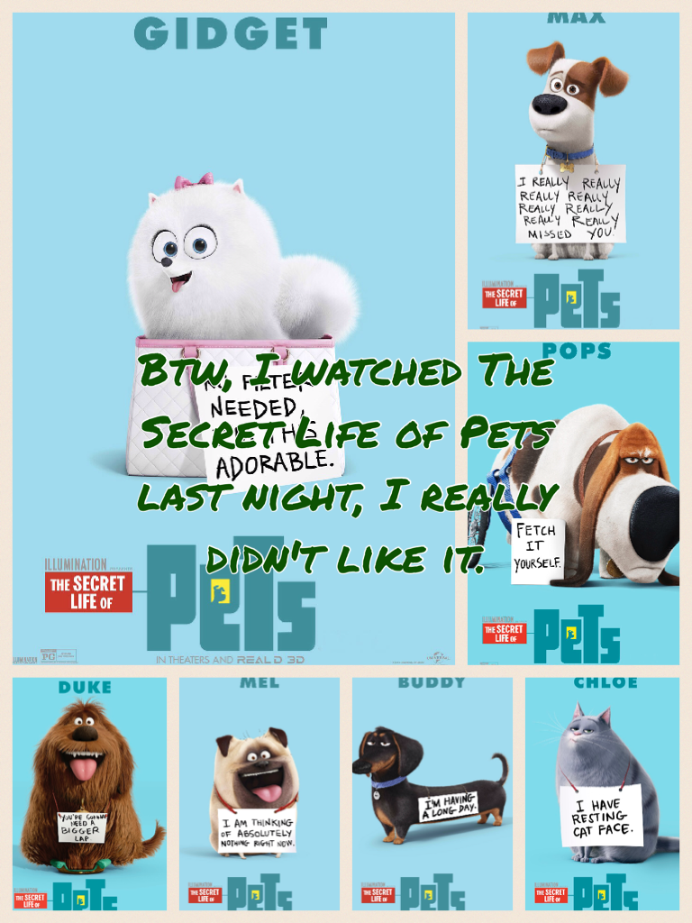 Btw, I watched The Secret Life of Pets last night, I really didn't like it.