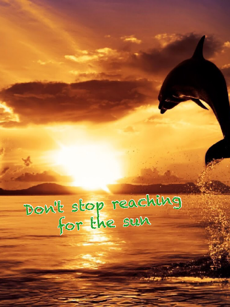 Don't stop reaching for the sun