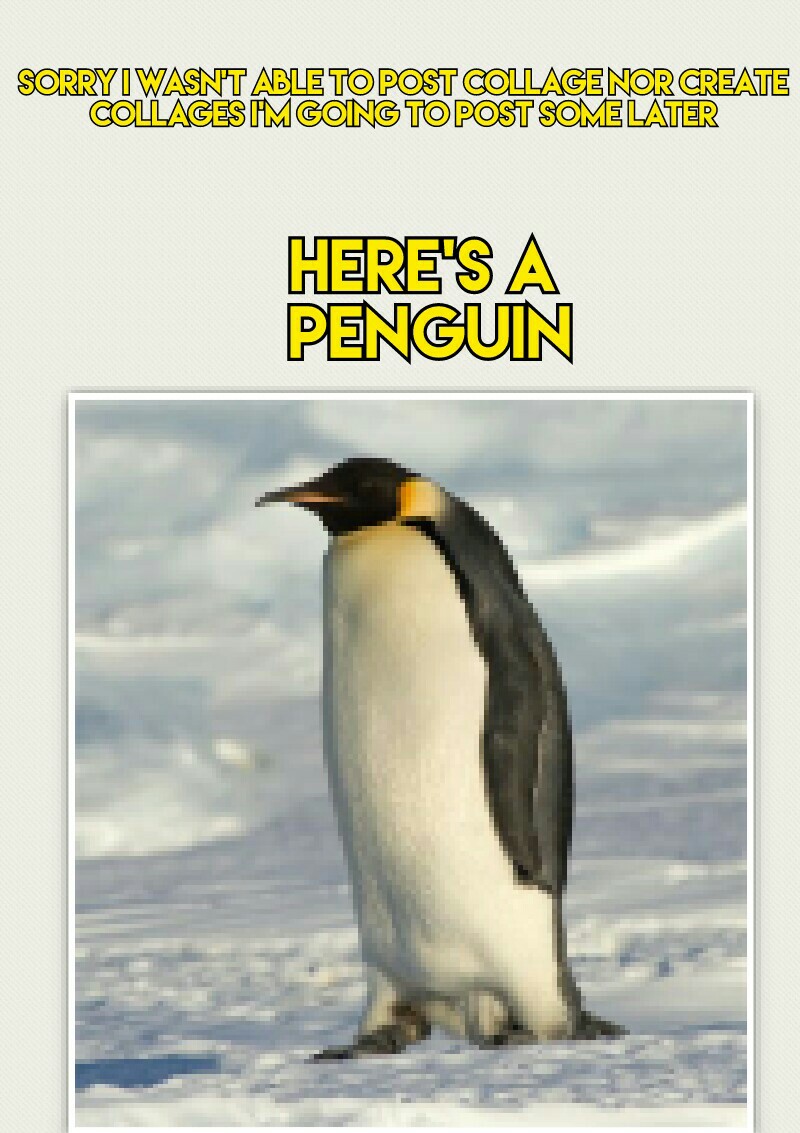 Here's a Penguin