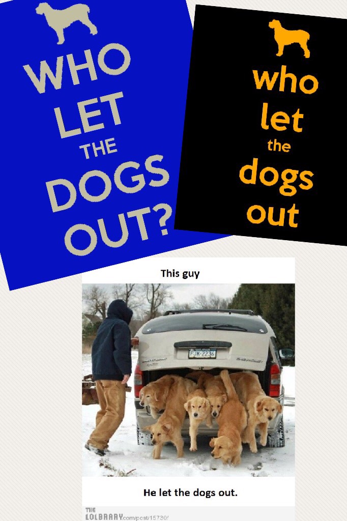 Who let the dogs out 