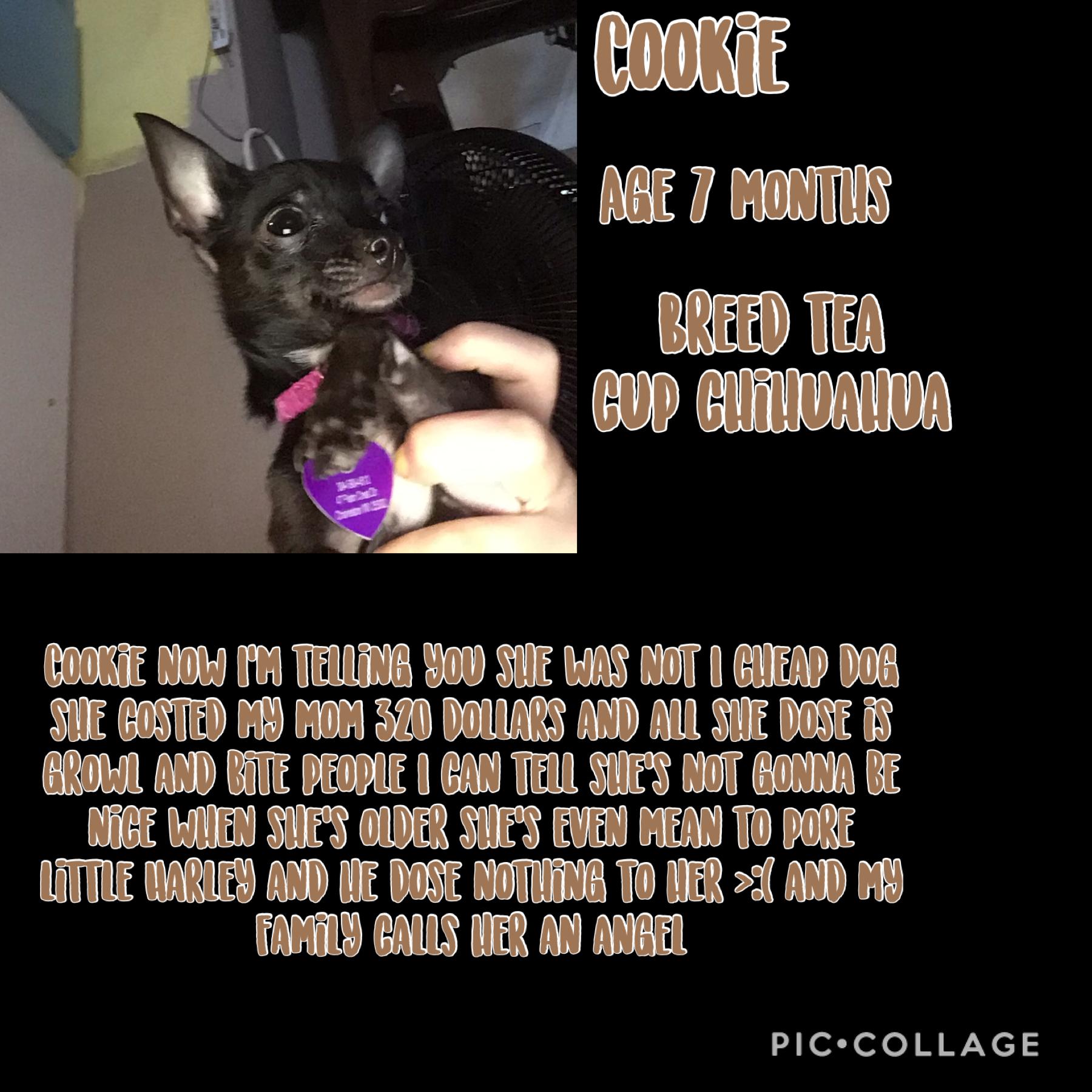 Cookie 😑
