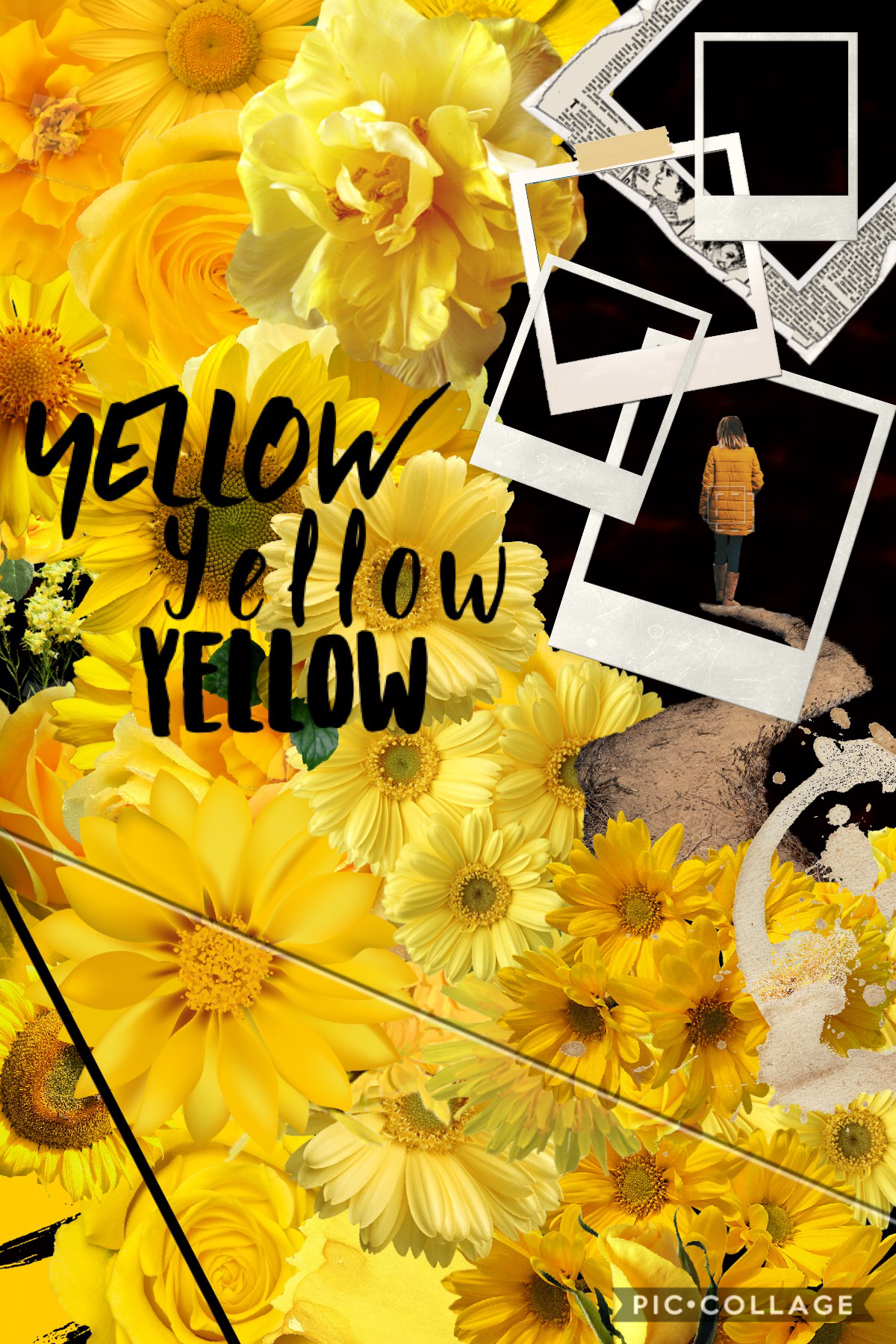 🌼Yellow🌼 
Comment below your favorite color! Lmk if you want to collab!!