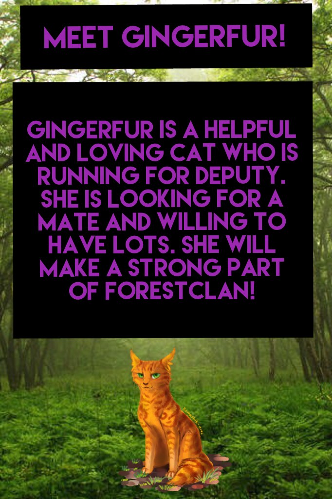 Meet Gingerfur!