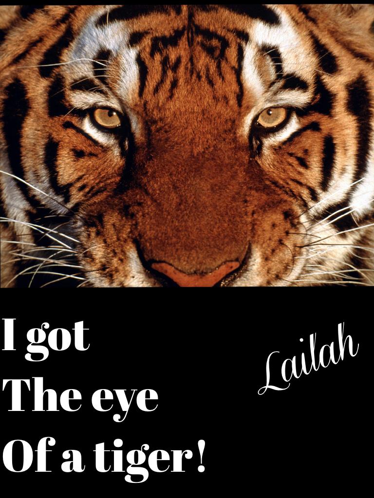 I got
The eye
Of a tiger!