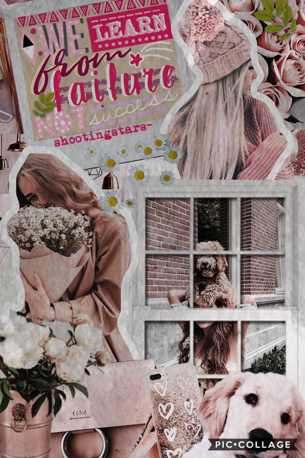 heyo, this is a collage that I made a while ago🌸💓what should I do for 2.5k?🌼✨💫how are y’all doing?🌿🌻i might be a little inactive because I’ll be at camp for the next week🌺🍃also anyone wanna collab? have a great day y’all