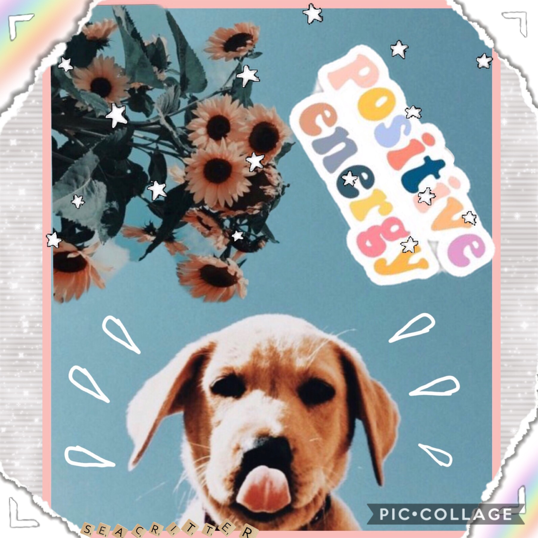 🌻tap🐶
 I really like this style, it is kinda similar to my other puppy themed collage. I’m thinking of creating a dog themed account, what do you guys think?