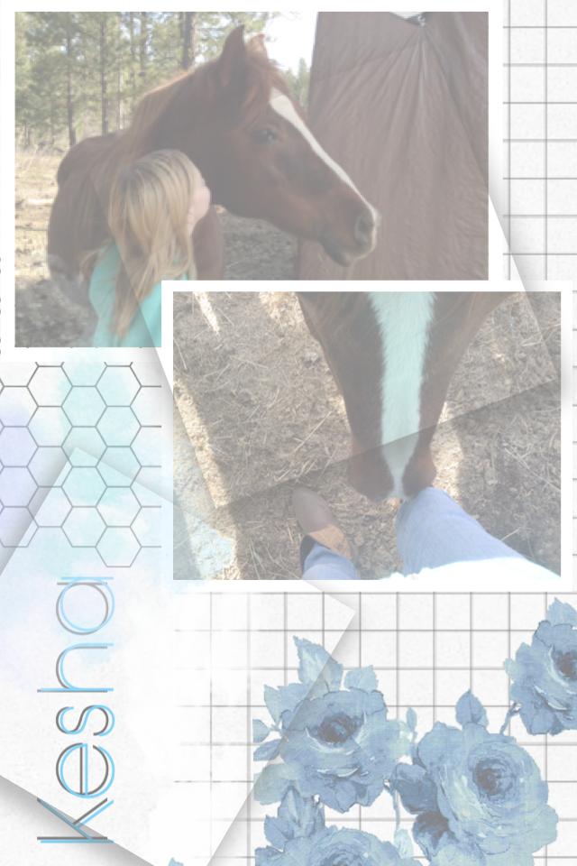 My bootiful pony 🔥🔥