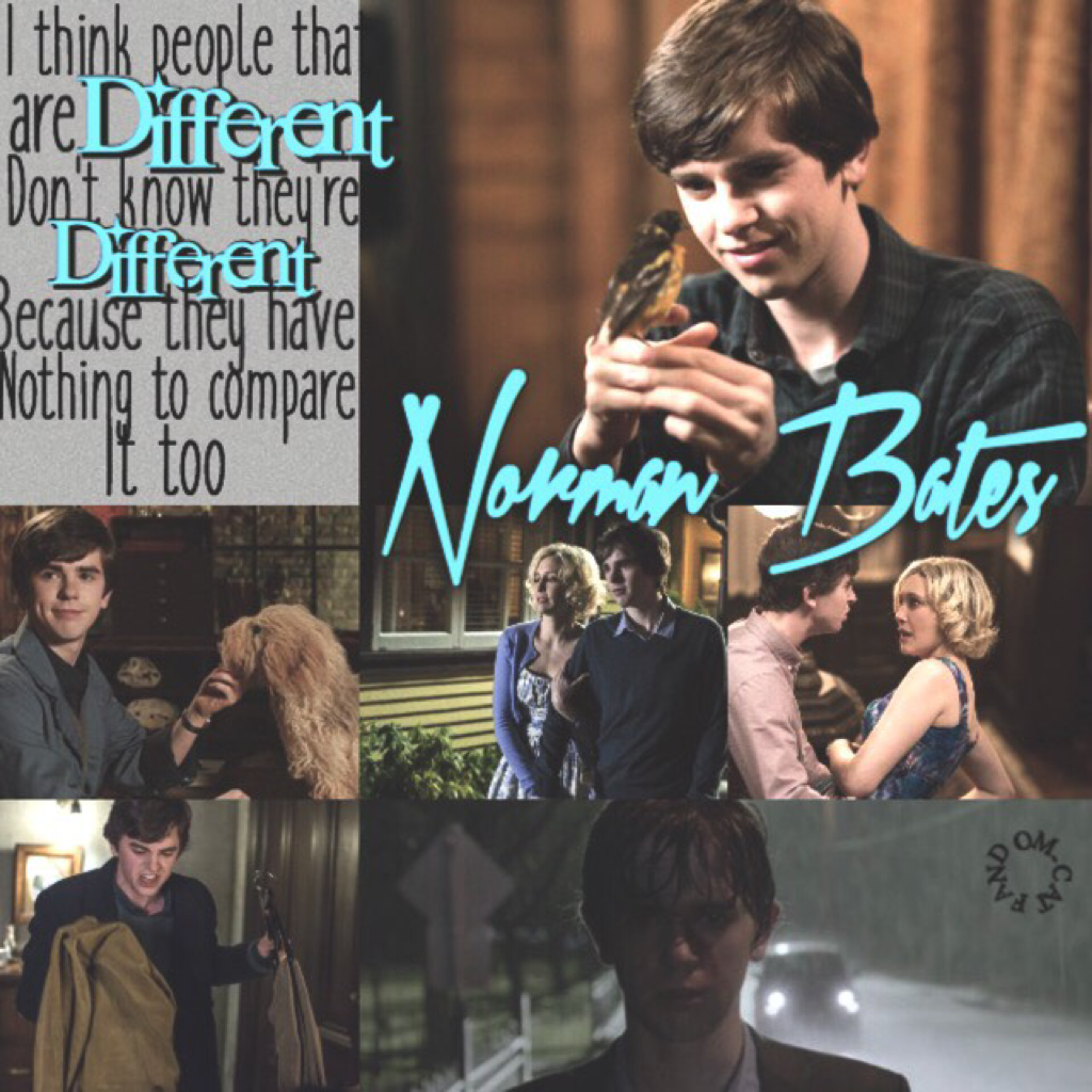 Almost finished watching Bates Motel!😅So good!!! I love Psycho so no surprise that I love this💙Also recognize this quote from anywhere (check my bio😏)
QOTD- Favorite tv show character???
AOTD- Norman (Bates Motel) or Noah (Scream)💙🔪