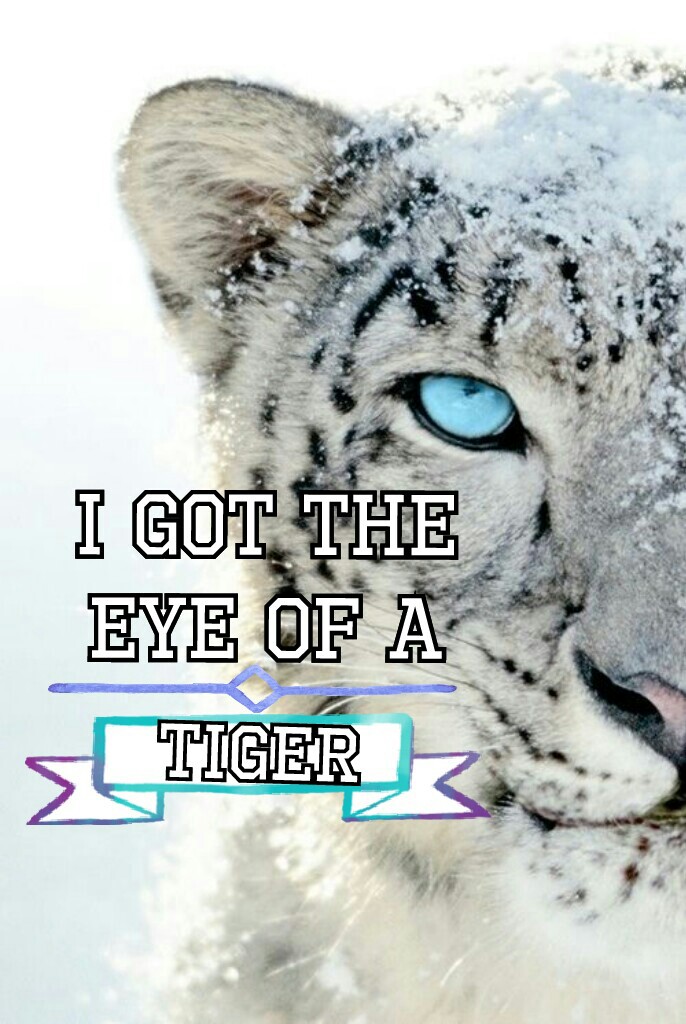 I Got The Eye Of A Tiger