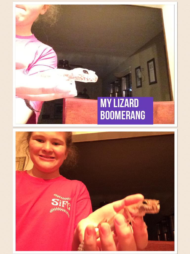 My lizard boomerang 