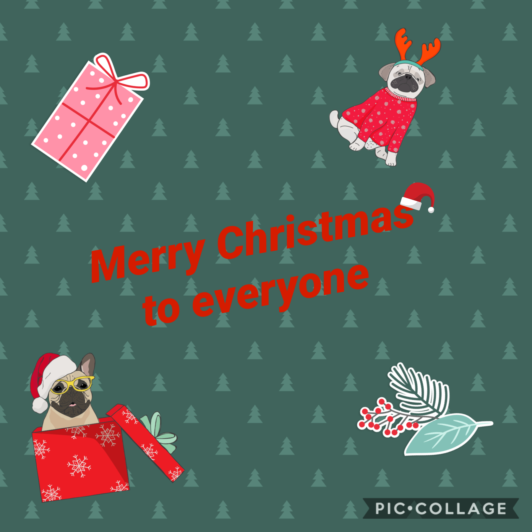 Merry Christmas!!!!!