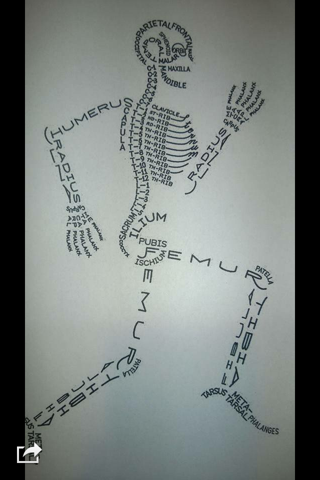 Learn your bones
