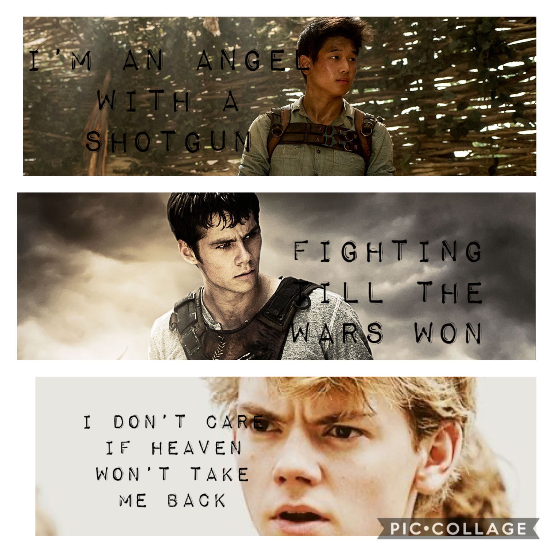The mighty gladers