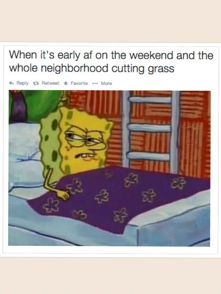 This is so true, why must you cut grass 8am in the morning 