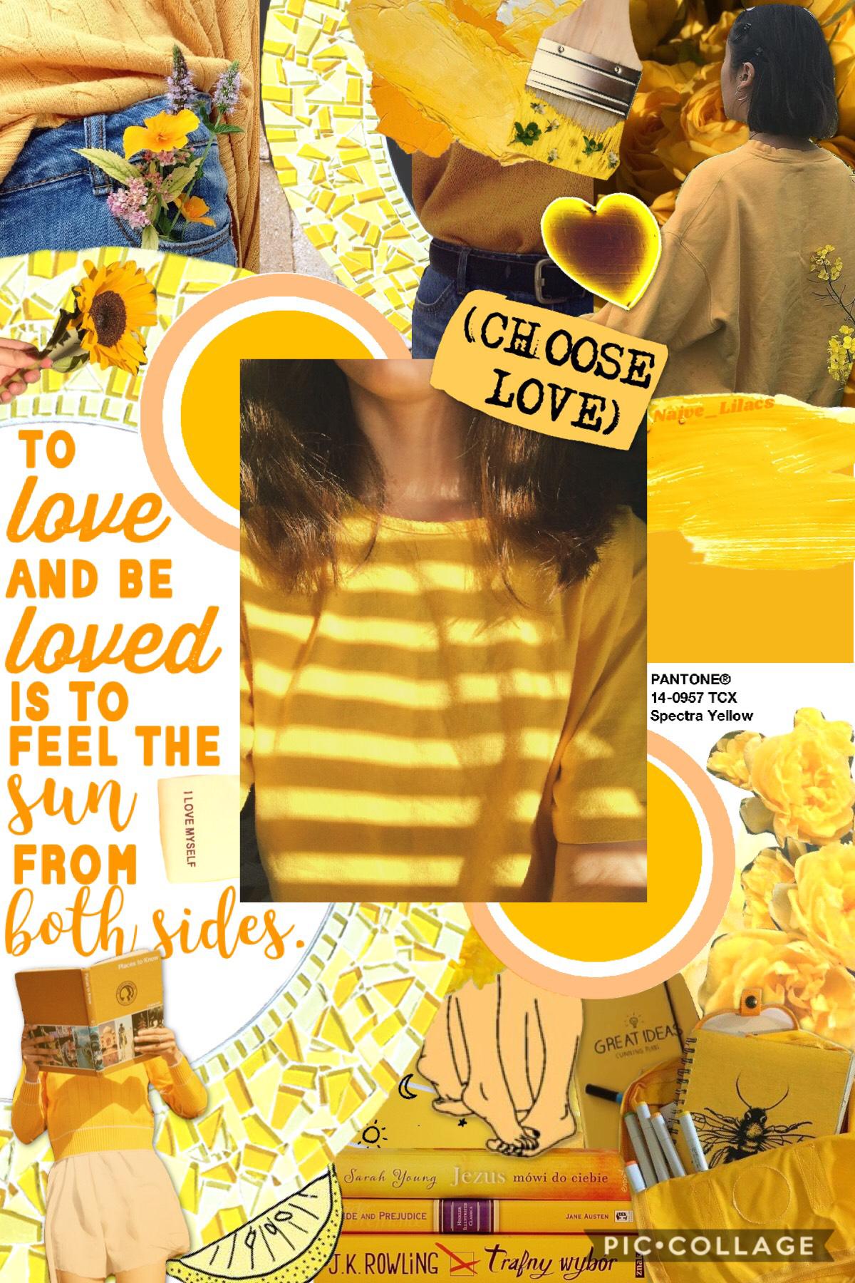 wow this took a while to make💛I made this on @ShatteredCrystal’s phone😊I’m pretty proud of this🌼thoughts on this?💭