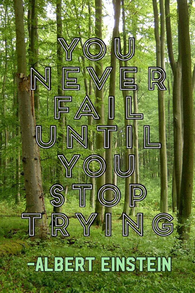 You never fail until you stop trying