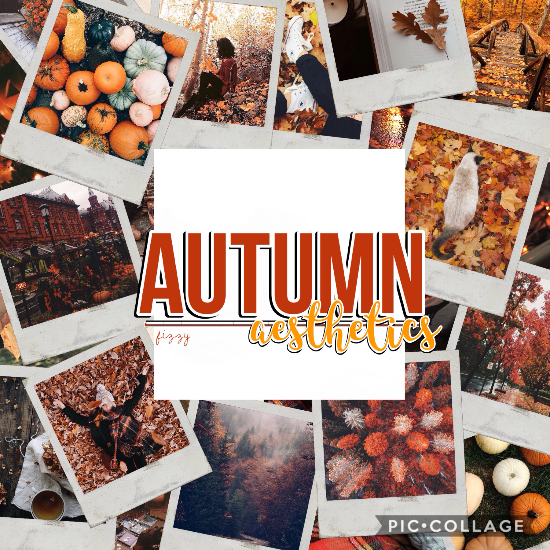 🍂TAP🍂
The leaves just started to change color and then..... it snowed 😩
QOTD:Favourite season?
AOTD:Fall/Autumn. Everything is just so pretty!!!! The leaves are amazing!