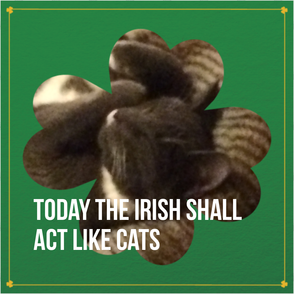 Today The Irish Shall Act Like Cats.Happy St.Patricks Day!!!❤️💋😘😘