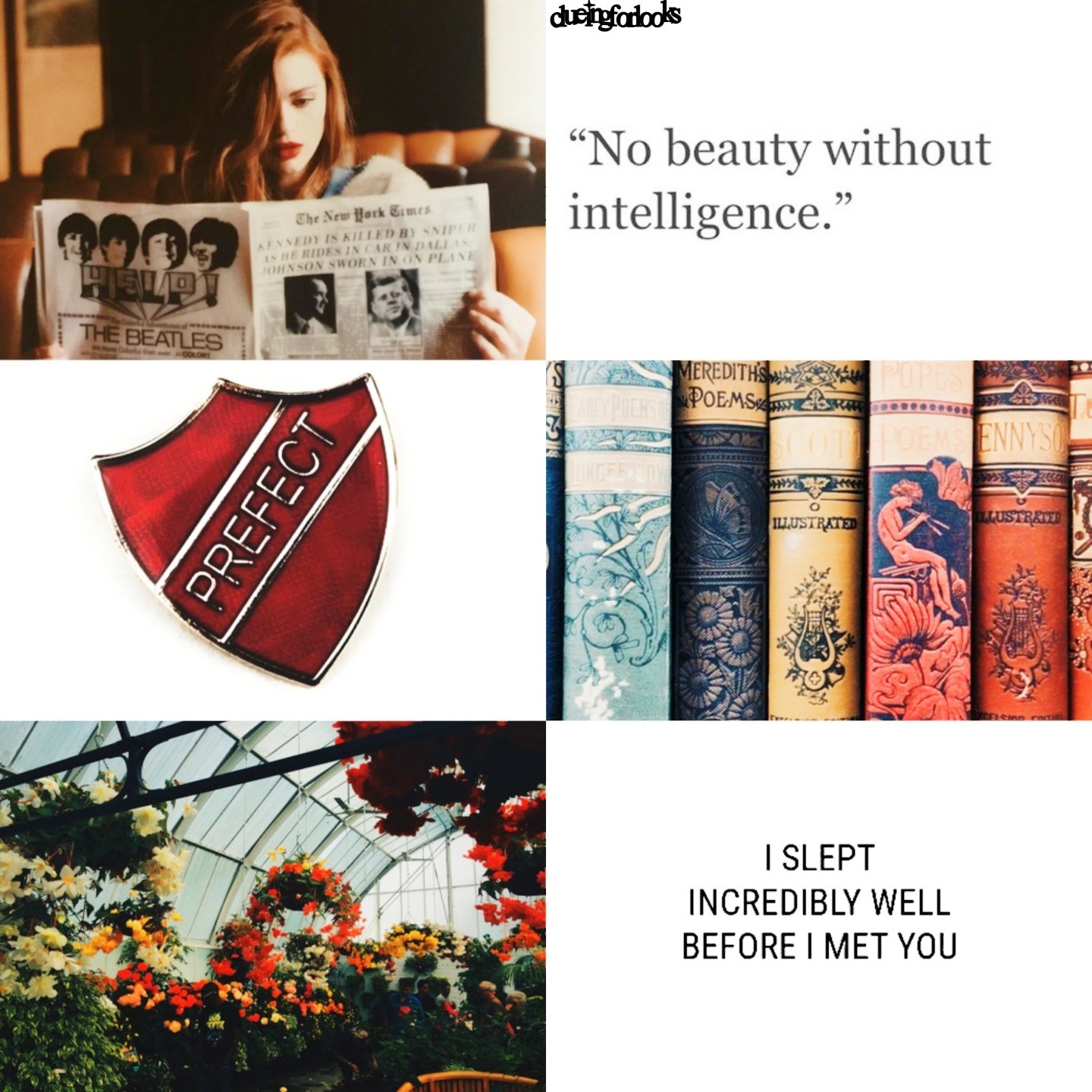 lily Evans aesthetic