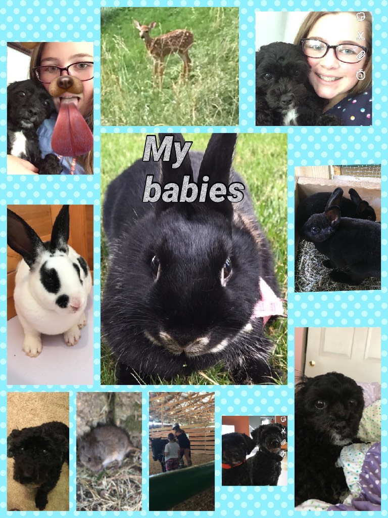 These are all my babies, post a pic below of yours!