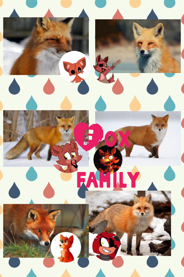 Fox family 