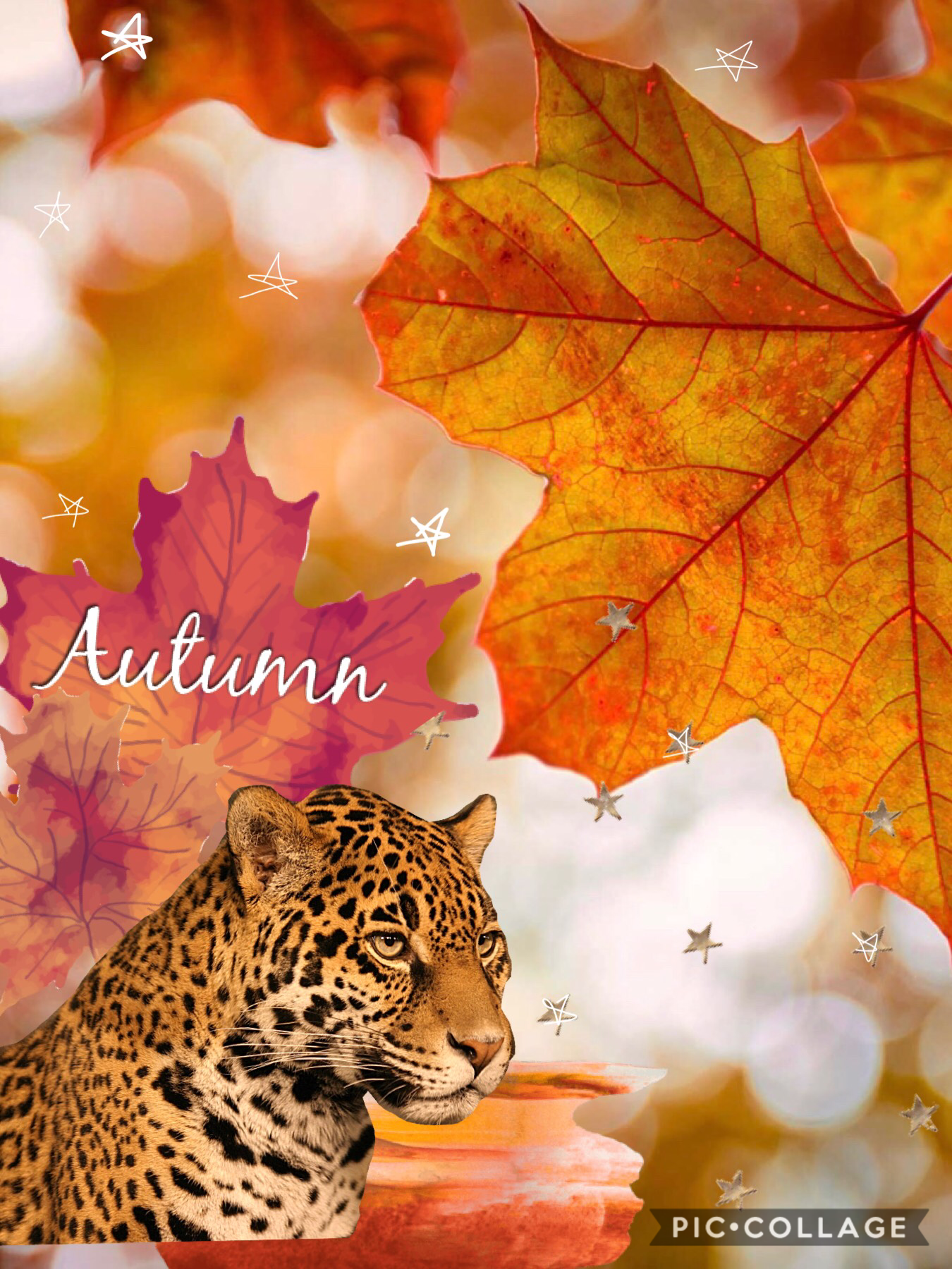 Autumn jag! Trying this out for the first time