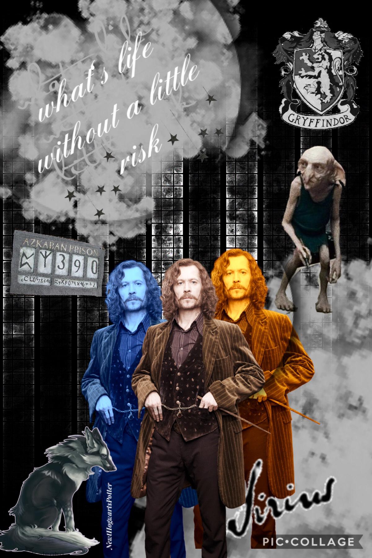 Sirius Black. The saddest death for me😭. I just loved him soooo much. 
