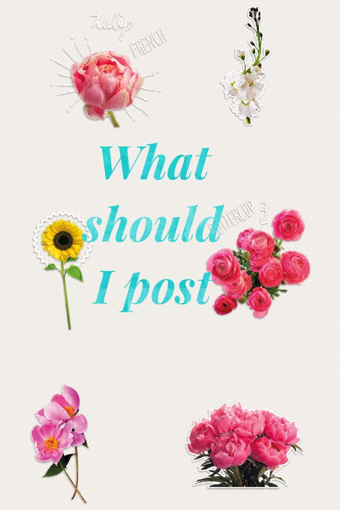 What should I post