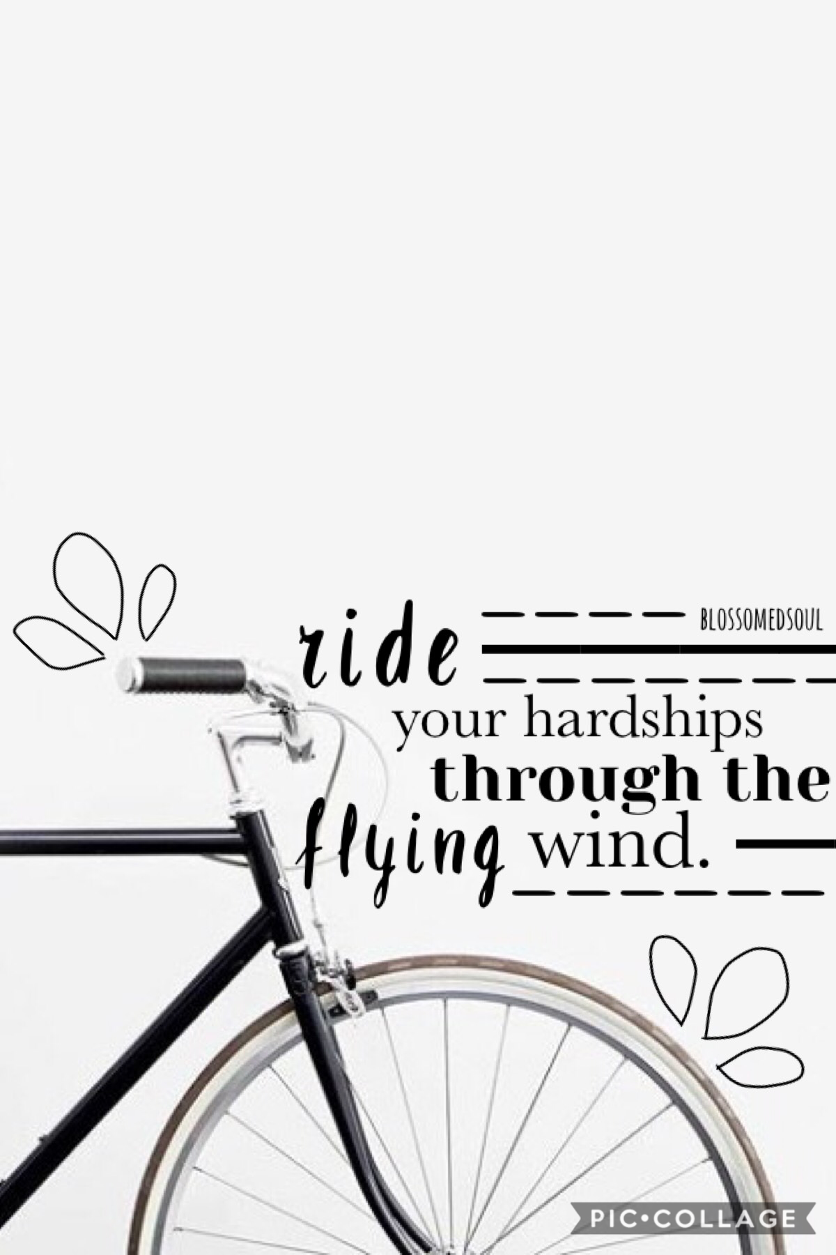t a p

sorry i haven’t posted in a bit! been busy with school ♥️ loving the new fonts, are you? qotd: bike or stationary bike? aotd: bike 🌿