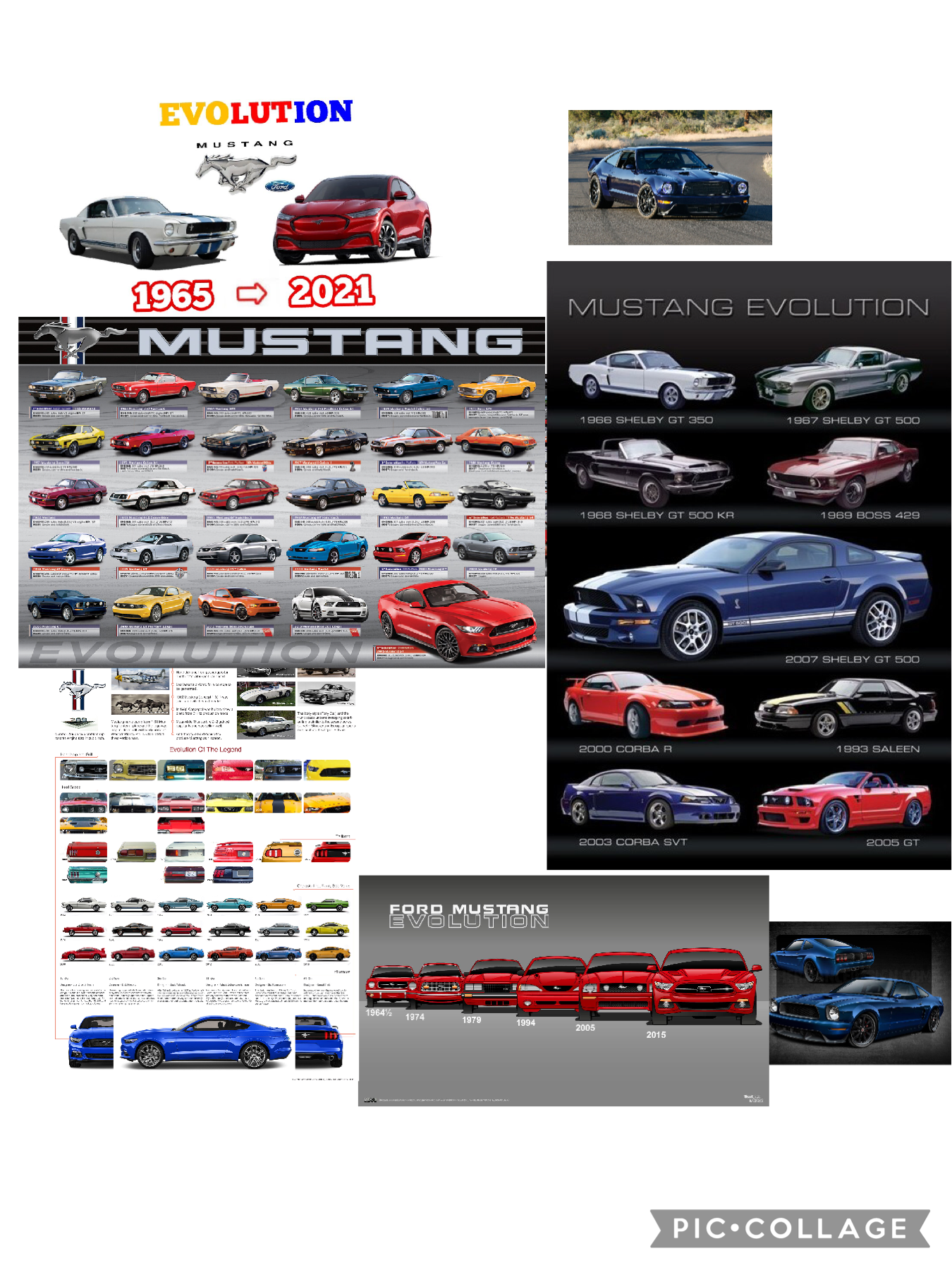 L’évolution de la Mustang 
