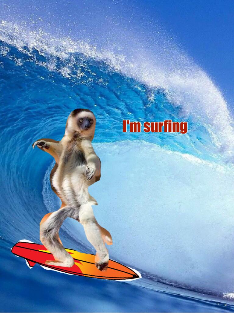 I'm surfing
I'm carving this wave 
