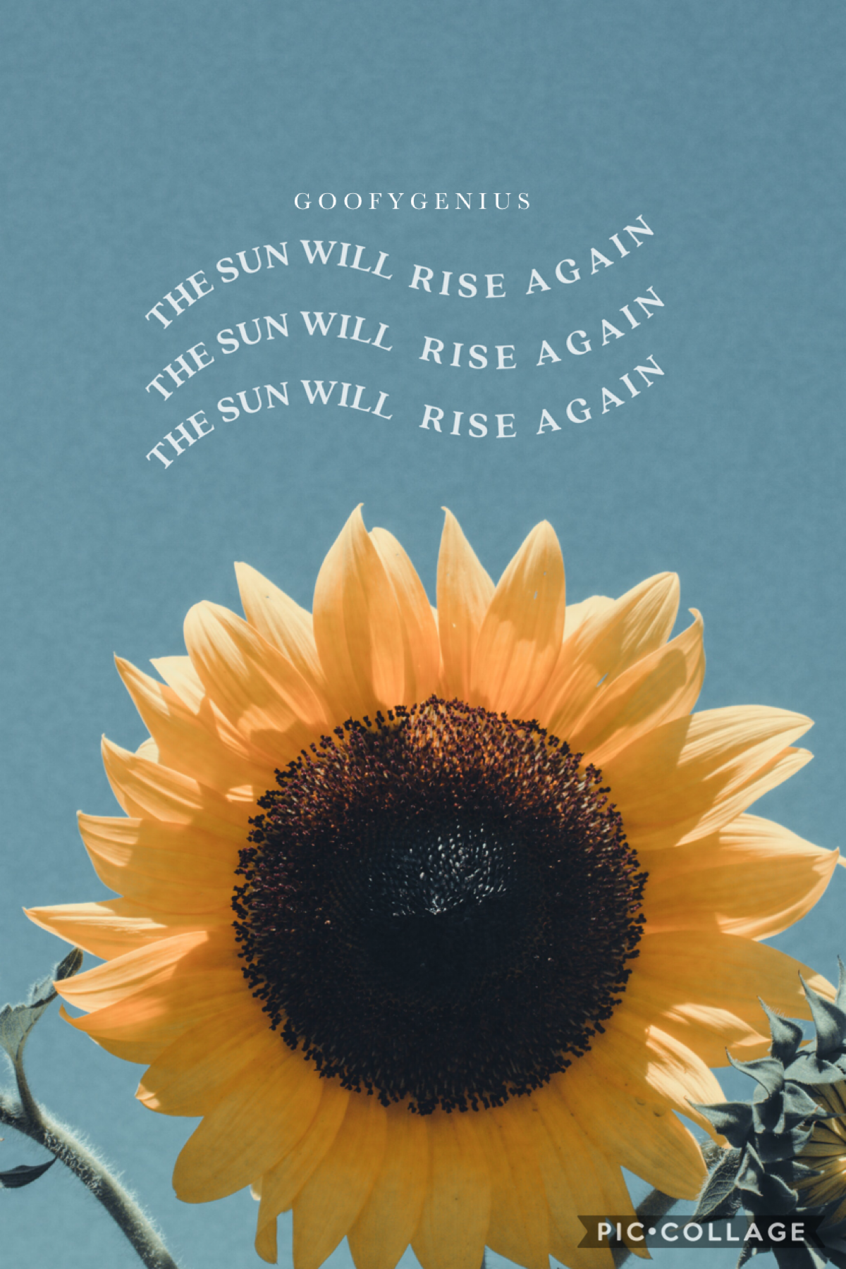 🌻Tap Here🌻
Thank you all for your sweet messages on my last post. You guys don’t know how much that helped. Just a simple wallpaper :) please rate 1-10.
QOTD: in person classes or online next sem?
AOTD: I think online? 