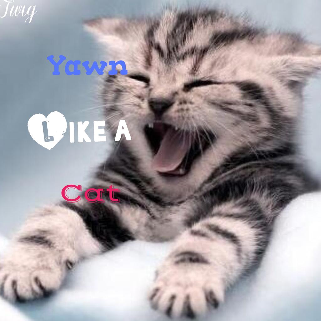 Yawn 