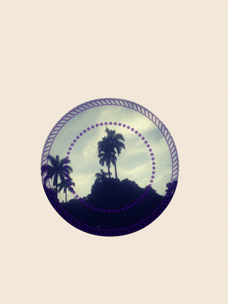 palm trees icon-remix, clip around icon, edit as wanted and screenshot or save for use in pic collage 