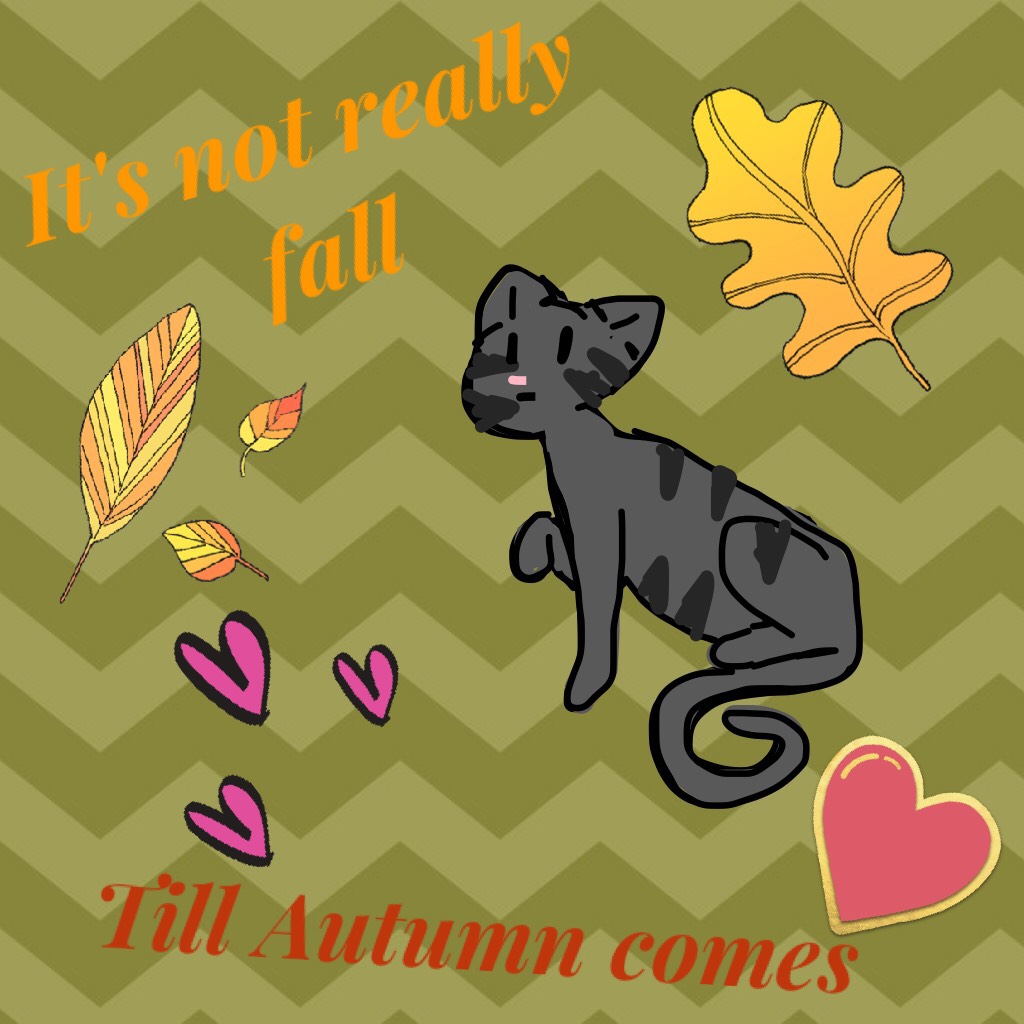 Autumn is actually the nam of my friend's cat #AutumnIsAKitty Hug a friend who loves cats!